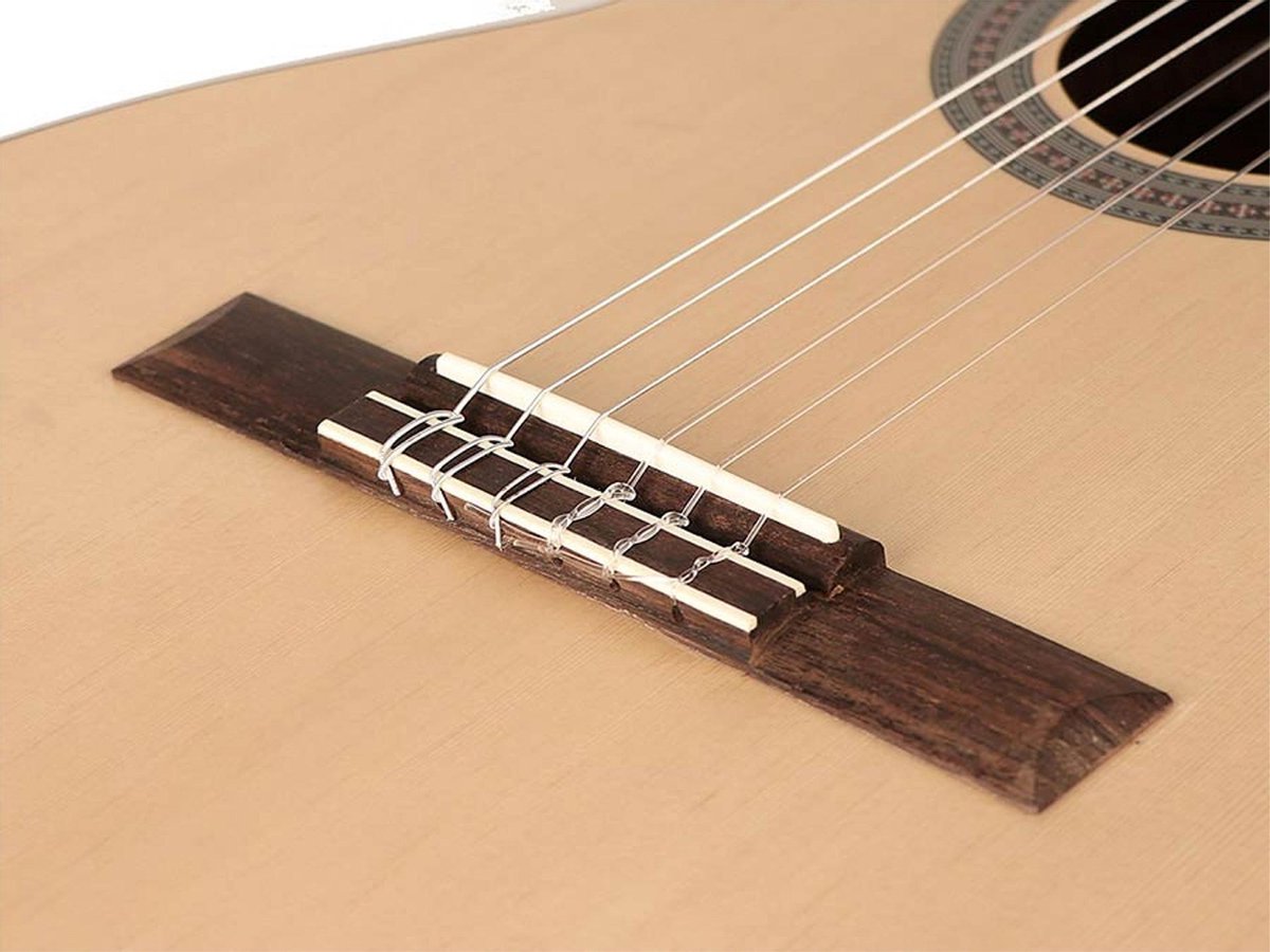 Salvador Guitare classique 4/4  CS-244-CE Electro-Acoustique